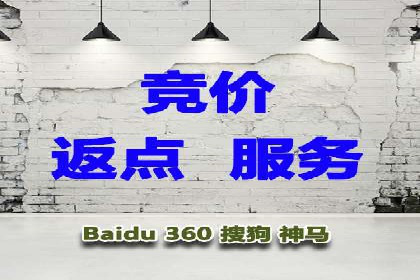 百度品牌专区推广：打造品牌形象的新途径