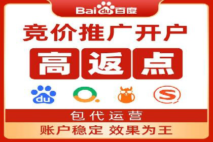 SEM推广实战：成功案例剖析